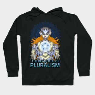 The beautiful of pluralism Hoodie